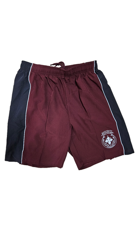 Swimming Shorts